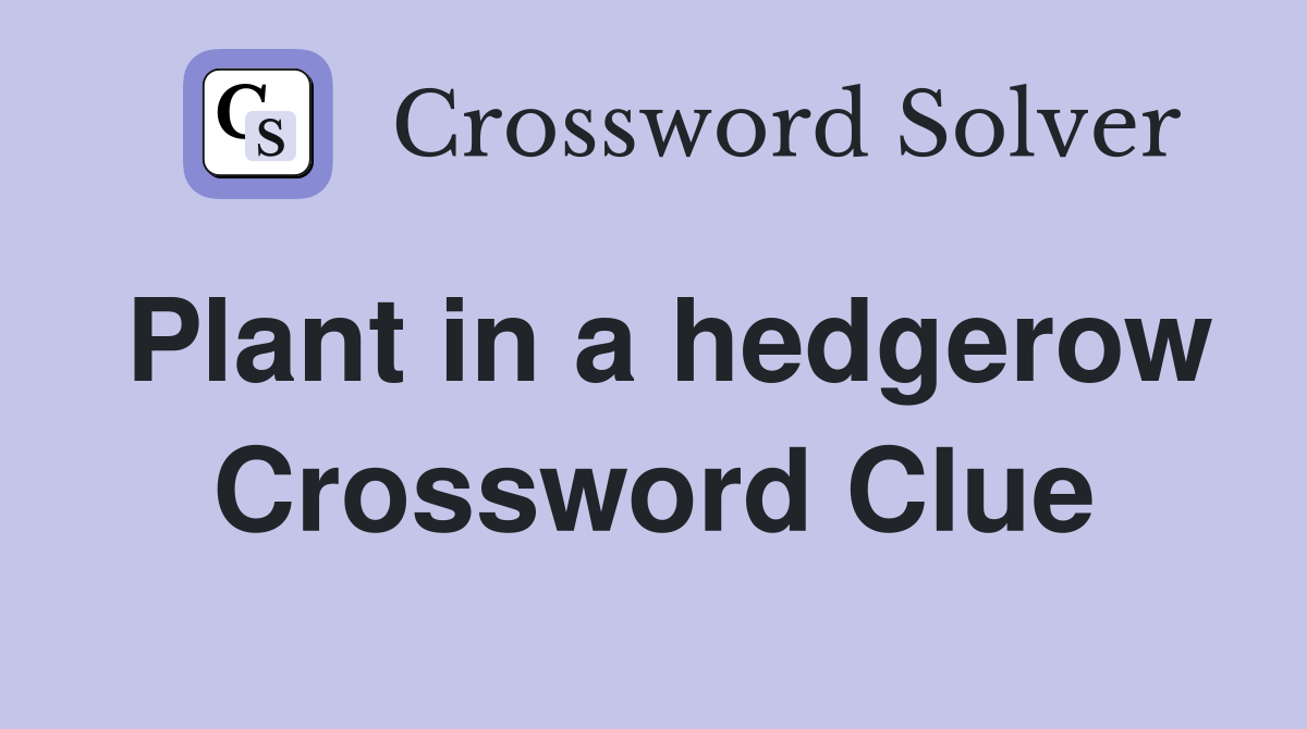 Plant in a hedgerow Crossword Clue Answers Crossword Solver
